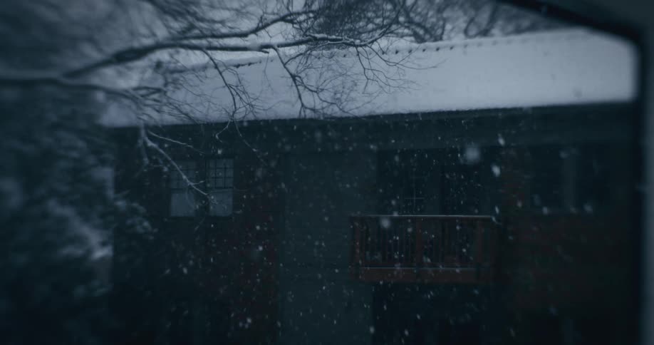 Snow falls on a muted house with a balcony viewed through bare tree branches