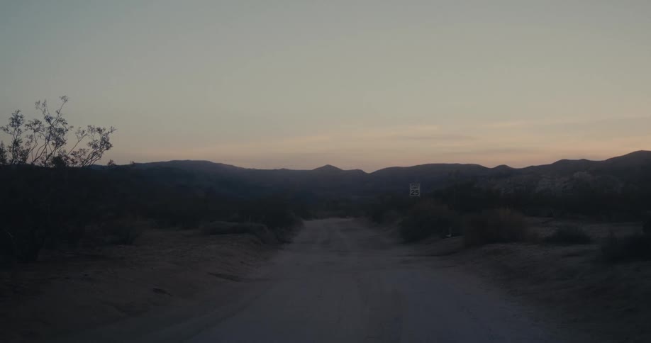 A rural dirt road with a 25 mph speed sign stretches past a gently swaying bush at dusk