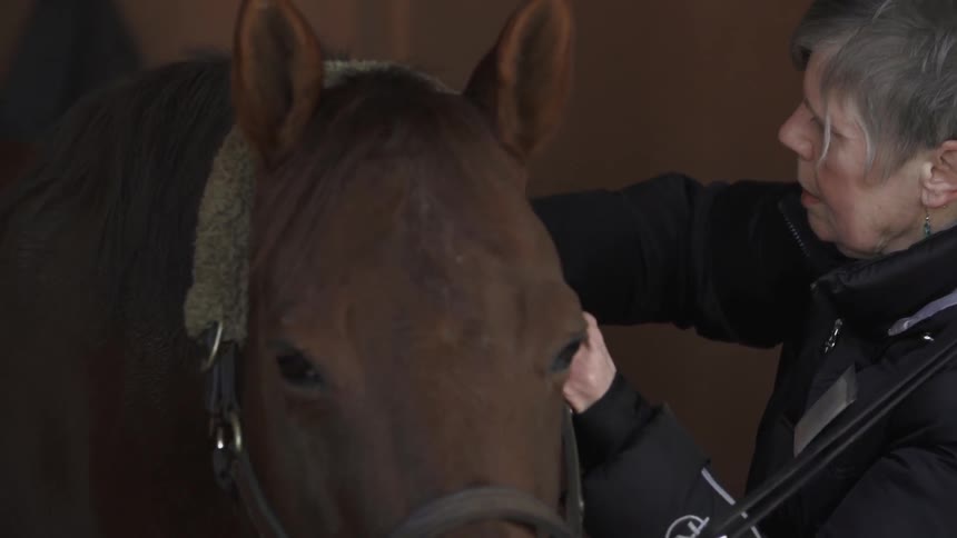 A woman brushes a horse