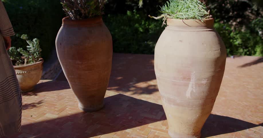 A person walks in the garden on a sunny day