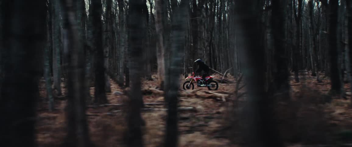 A person wearing a helmet is riding a red dirt bike through a dense forest with tall leafless trees and a ground covered in brown leaves