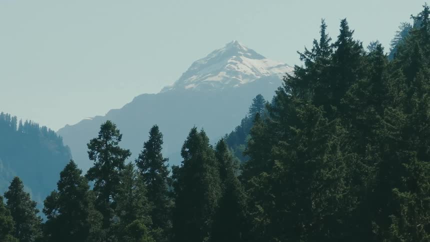 Moving up a mountain slope from an above view with a snowcapped peak visible beyond the trees in the foreground