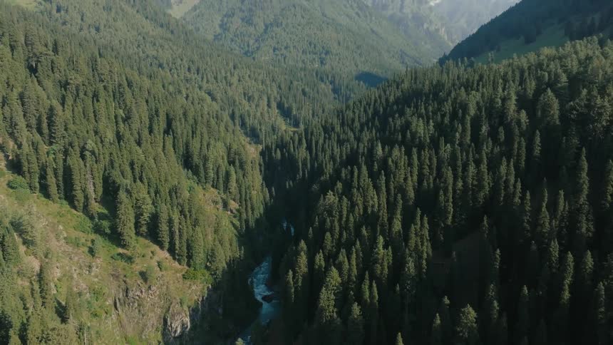 Aerial of a narrow river flowing through the canyon surrounded by trees