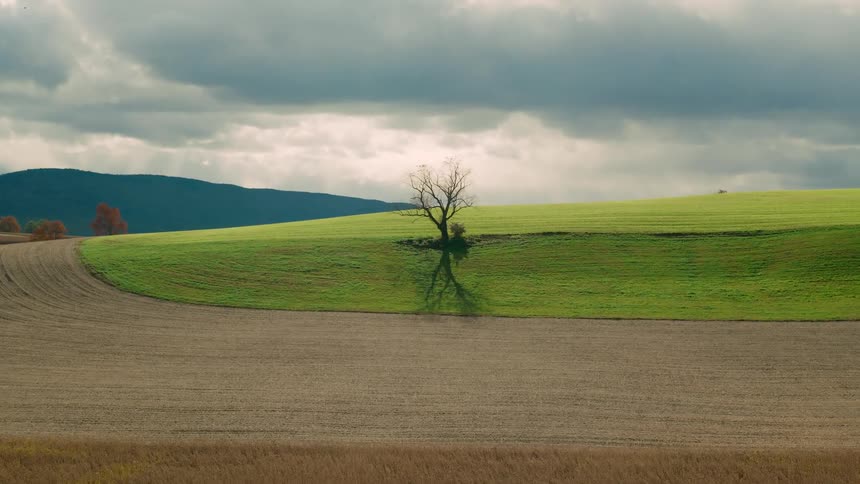 Moving towards a lone tree dramatically silhouetted on a grassy hill next to a field of freshly plowed dark brown dirt under a cloudy sky
