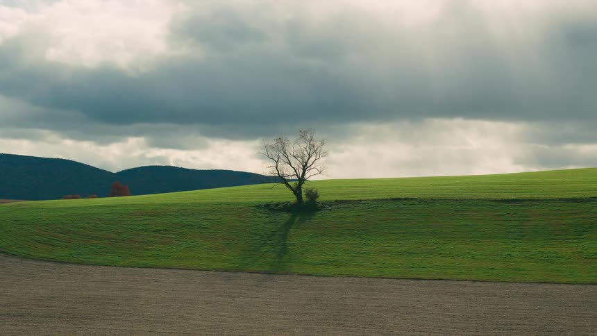 A lone tree stands on a green hill under a cloudy sky with plowed fields in the foreground and distant hills in the background