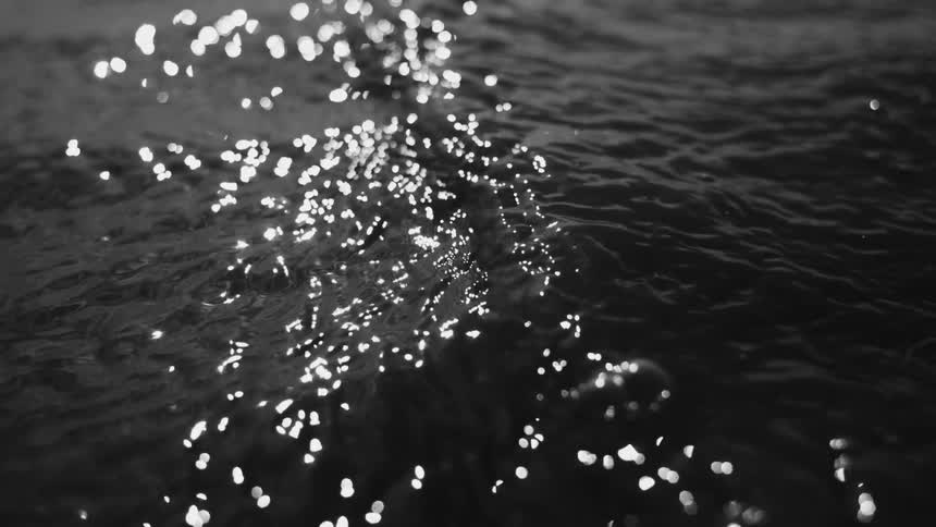 Sunlight reflects off the water