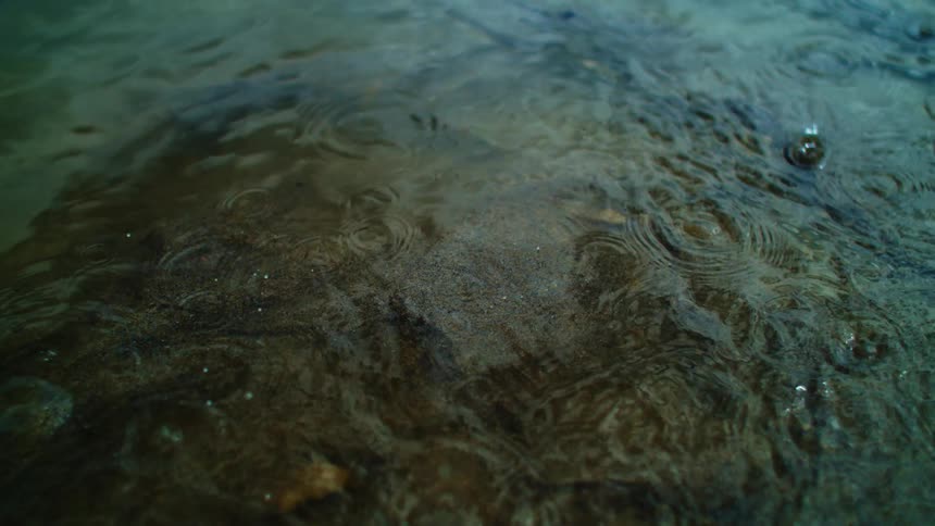 Water is splashing causing waves in a shallow river