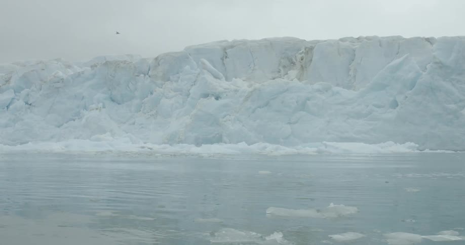 Bird flies over a large, frozen lake