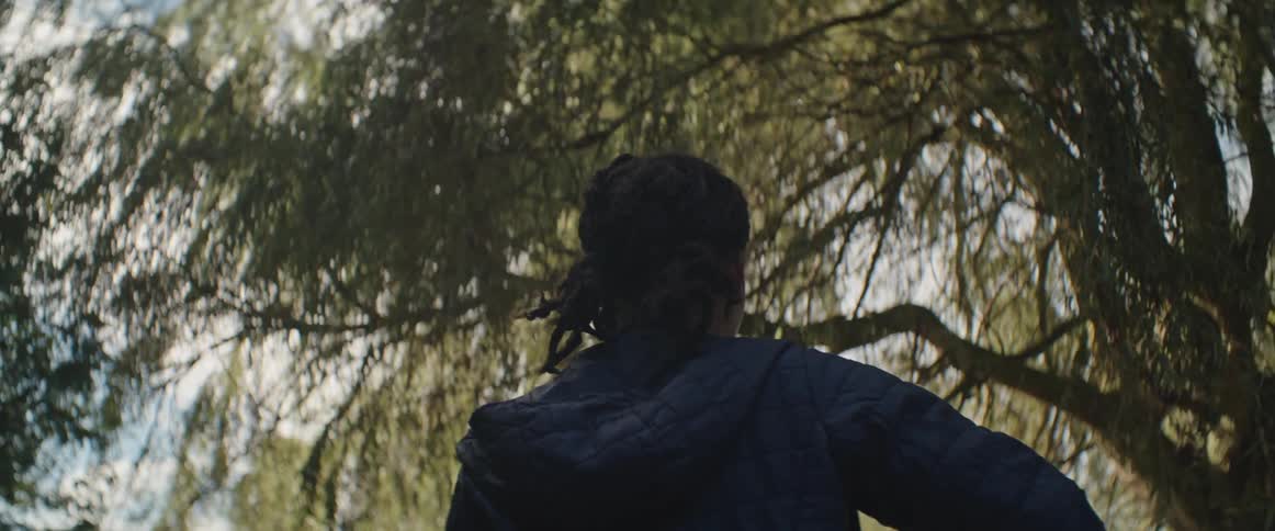 Person seen from behind wearing a blue jacket walking in an environment of tall trees