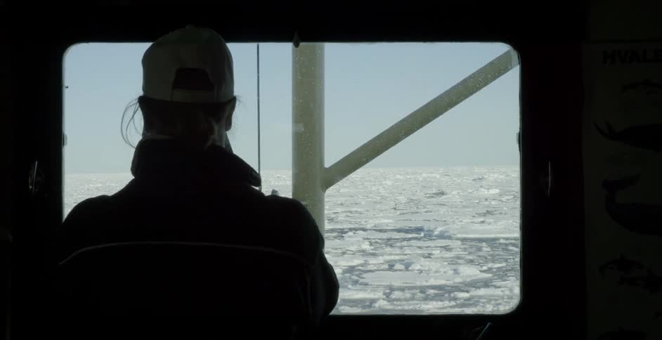 A person looks out of a window on a boat in the antarctic