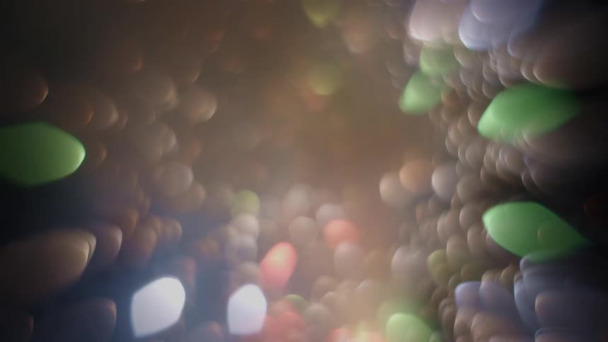 Fireworks sparks against the night sky