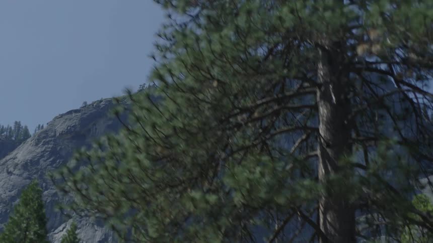Looking up at a mountain