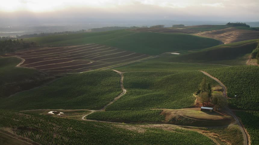 An aerial view shows a vast undulating landscape with planted rows of crops following the contours of the hills interspersed with dirt paths
