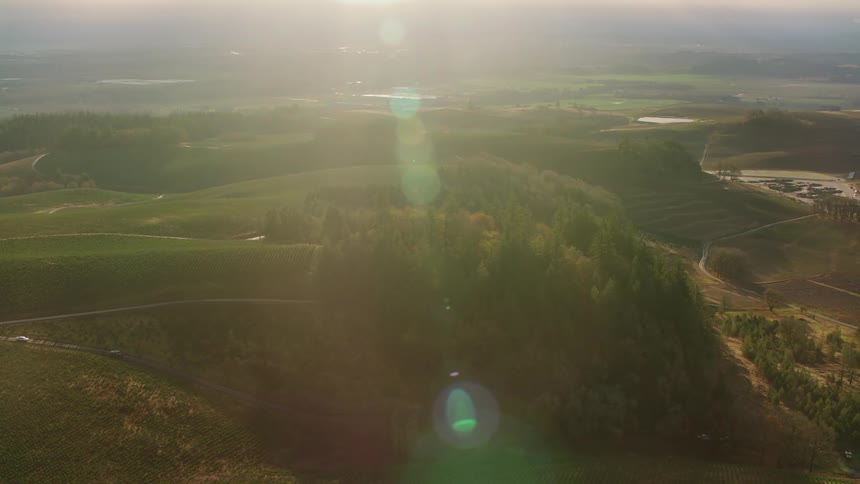A scenic view of rolling hills covered with lush green fields intersected by winding dirt roads and distant farmlands visible under a setting sun