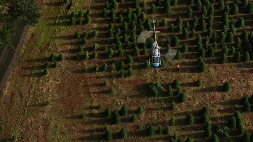A blue helicopter hovers over a field of pine trees delivering equipment to a worker in a red outfit