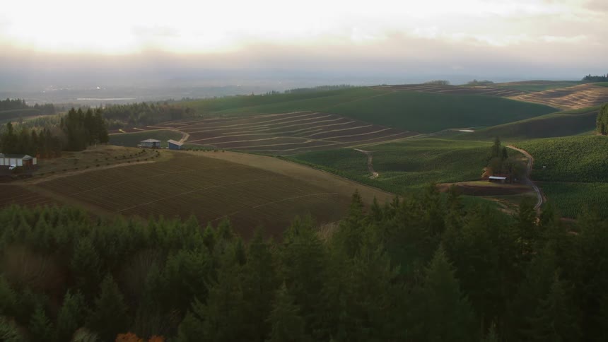 Cultivated fields and forested areas stretch over hills in the soft light of dawn