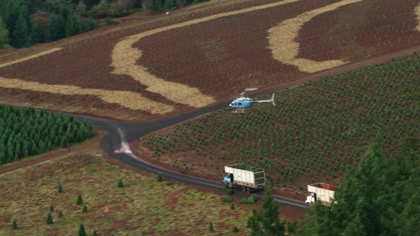 A blue helicopter flying over the fields of a farm and then turning around