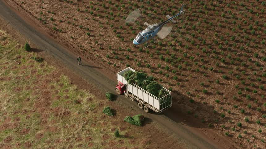 Helicopter deposits a tree onto a loaded truck