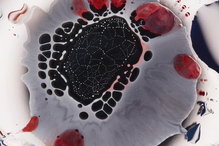 Abstract decomposing liquid organic matter