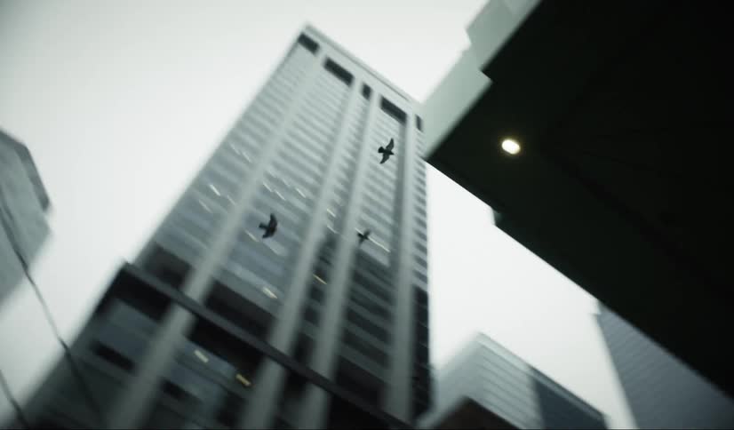 Group of birds flying in a metropolis