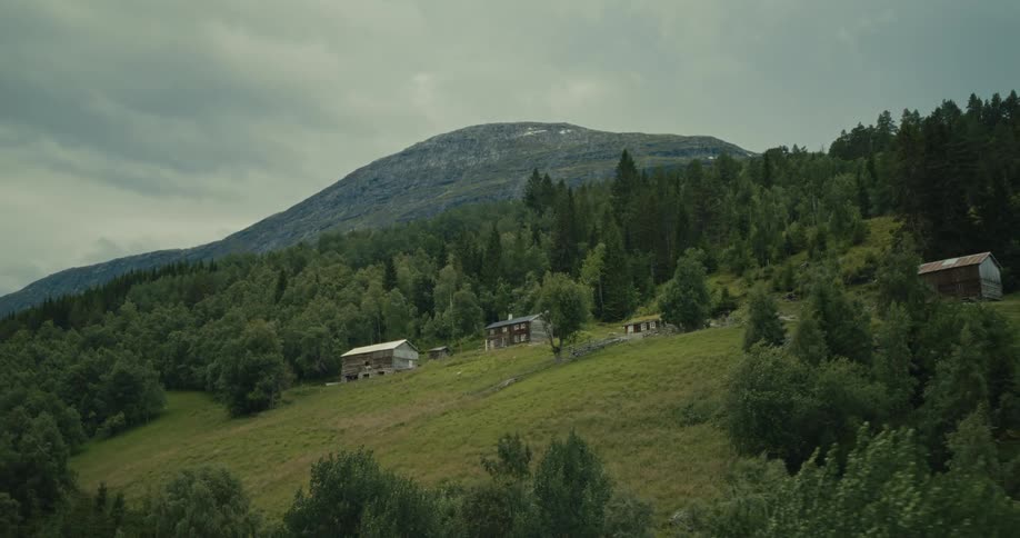 From an aerial perspective a rural house is nestled on a gentle slope within a forest clearing with a majestic mountain serving as a beautiful backdrop under an overcast sky showcasing a serene and tranquil countryside setting