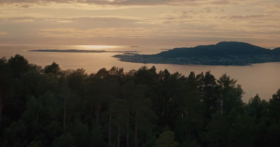 Aerial view of a forested mountain by the sea