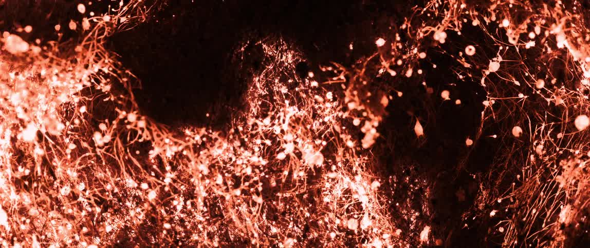 Roots on a dark background being burned abstractly
