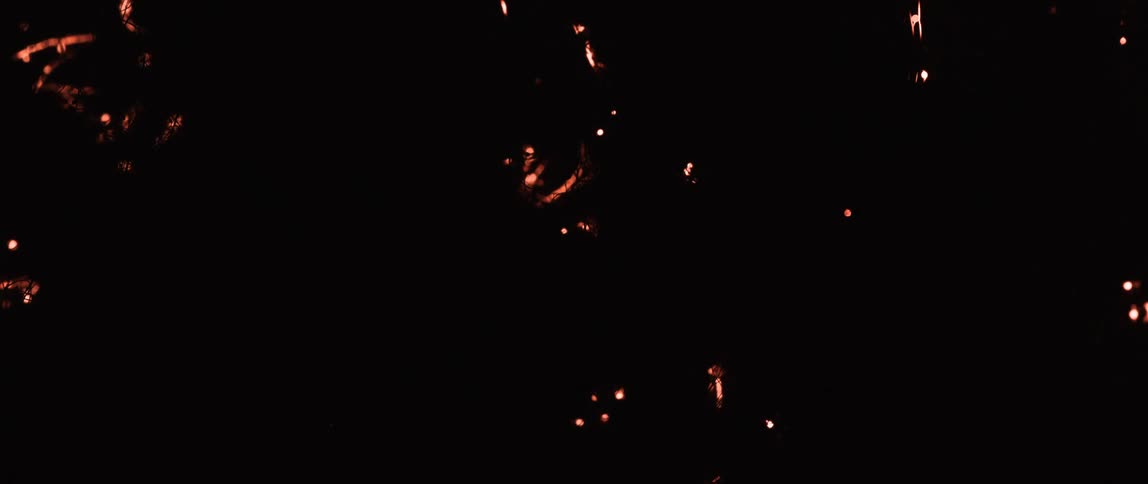 Fire burning abstract roots