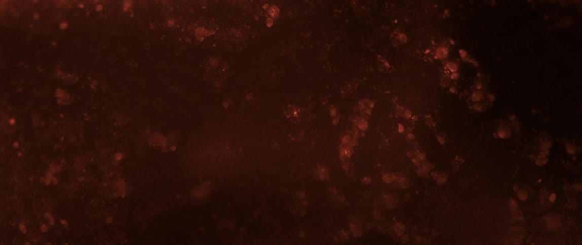Steam rises from a dish of simmering ground meat