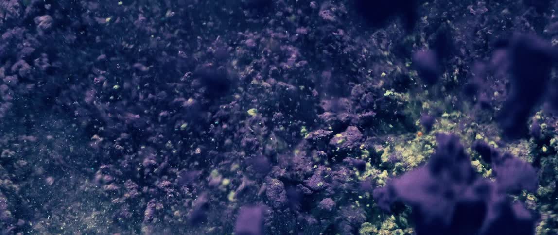Particles and fragments float in a dark environment with shades of purple and blue