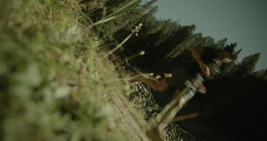 Runner crosses a trail in the middle of nature