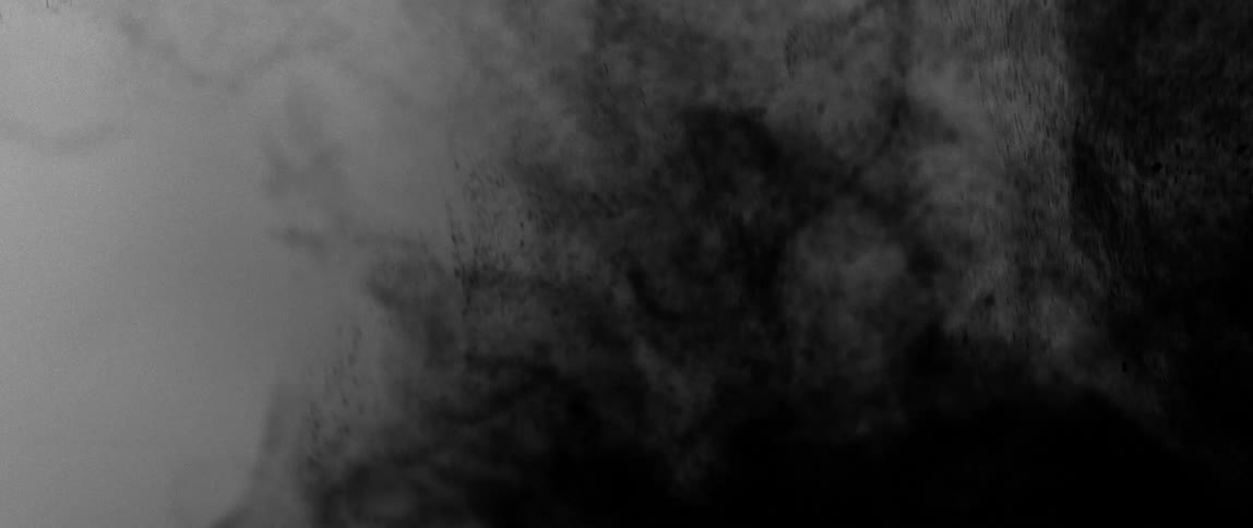 Dark particle cloud spreads on a light background