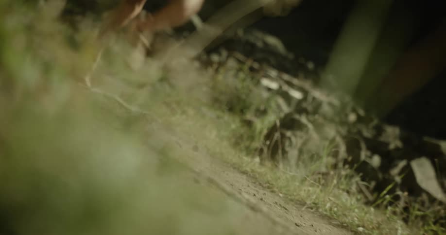Legs of a person running on a trail