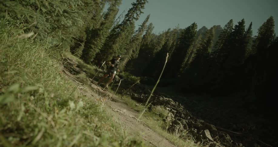 A person is running on a dirt trail surrounded by dense tall pine trees in a mountainous forest area