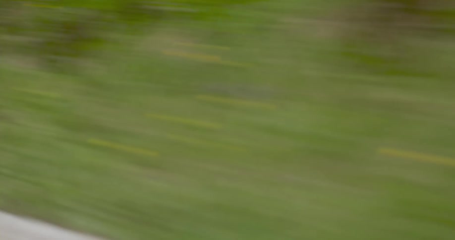 Grass and rock is a blur as something speeds past