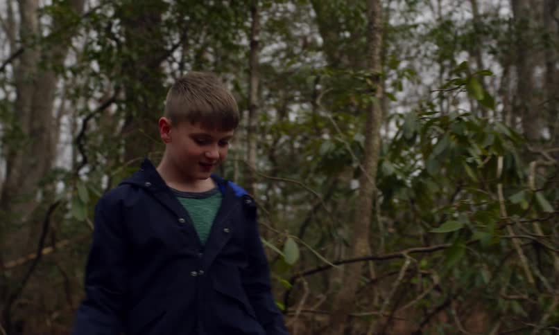 Grandson walking through the woods with his grandfather hits a tree with a stick