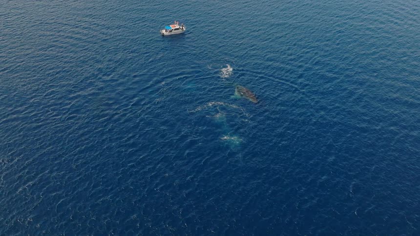 A footage of a ship in the sea