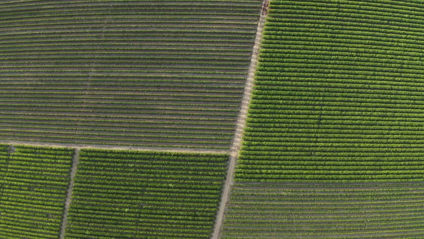 Aerial view of an agricultural field