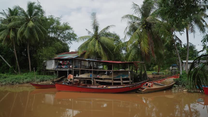 Palm trees sway in the wind near a house with boats on a river