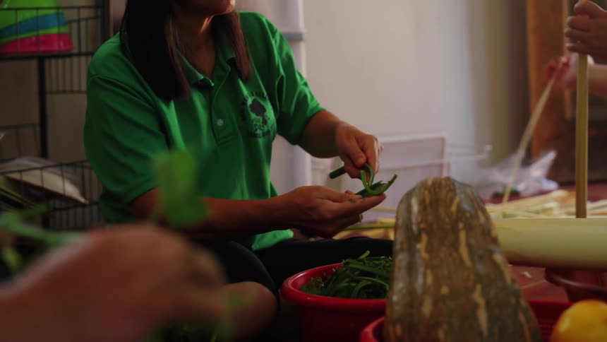 Women are cutting and preparing different vegetables