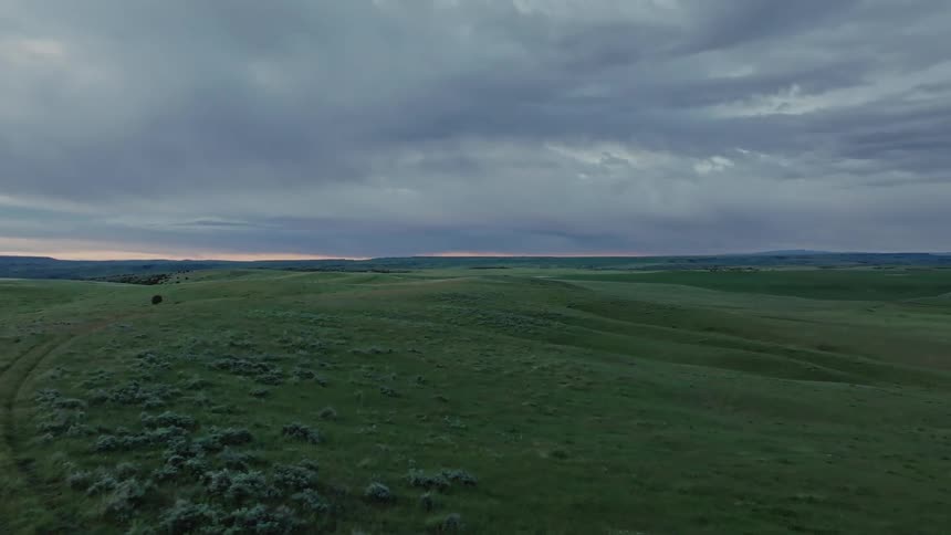 Aerial view of a vast expanse of green terrain
