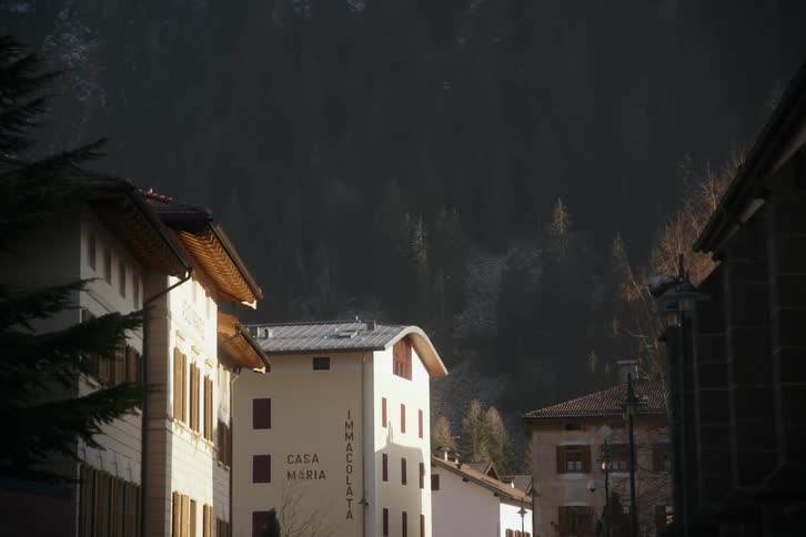 Urban buildings on the edge of a mountain with conifers