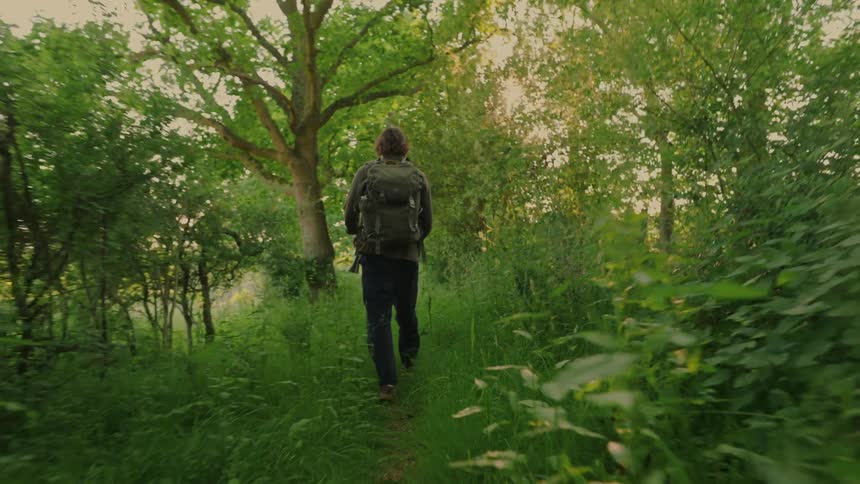 A man is hiking through the forest on a sunny day