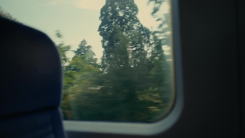 The train passes the fields of green grass