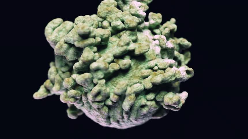 A green cgi sphere rotates and begins to sprout plantlike vegetation across its surface causing the orb to visually expand and morph into an organically shaped form against a stark black backdrop