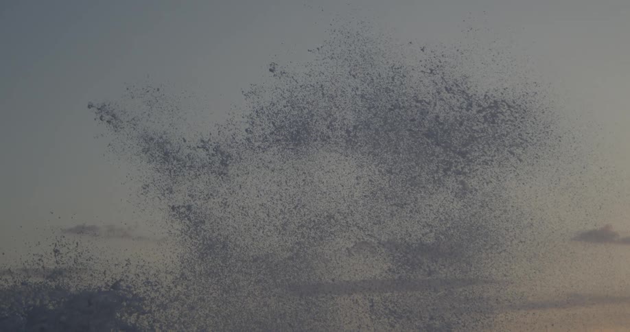 Sea spray bursts against a backdrop of a pale sky at sunset