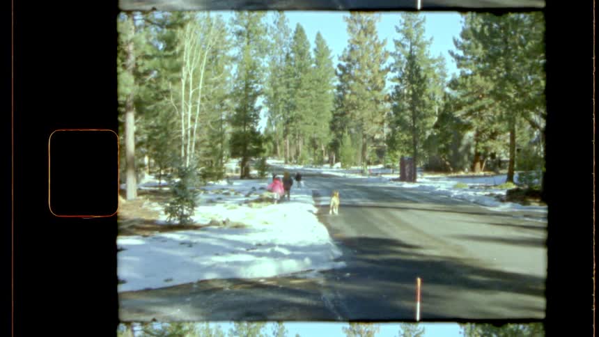 Children and a pet dog run down the side of a road in a forest