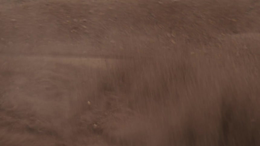 A sandy soil that is moving frantically