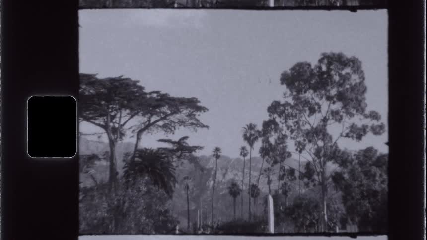 Landscape of trees with mountains on the horizon