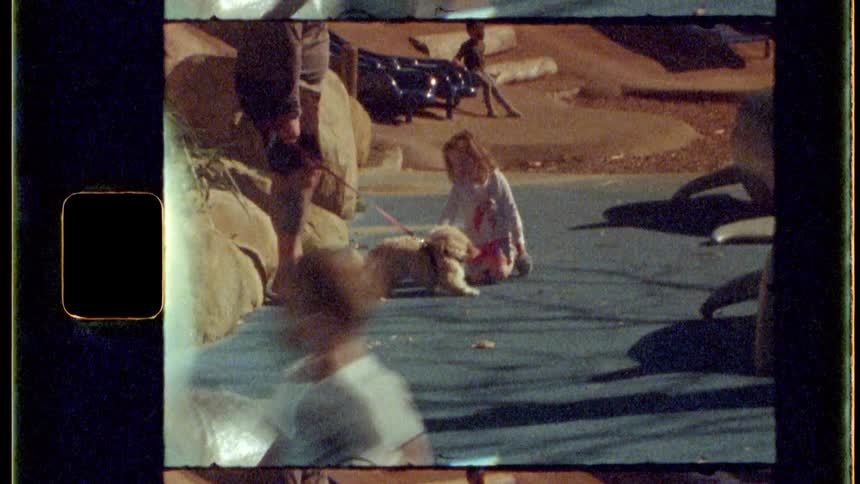 Girl pets a dog being led on a leash while at the park
